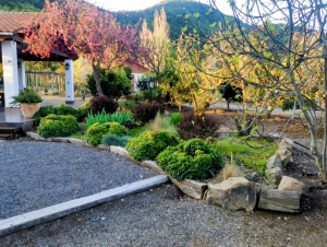 Construcciones Jardines Lo Barnechea